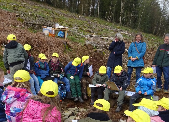 Kinder mit gelben Kappen im Wald, Kinder bepflanzen eine Schubkarre